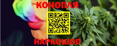 стаф Лесосибирск