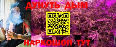 стаф Лесосибирск