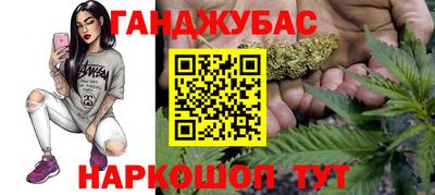 стаф Лесосибирск